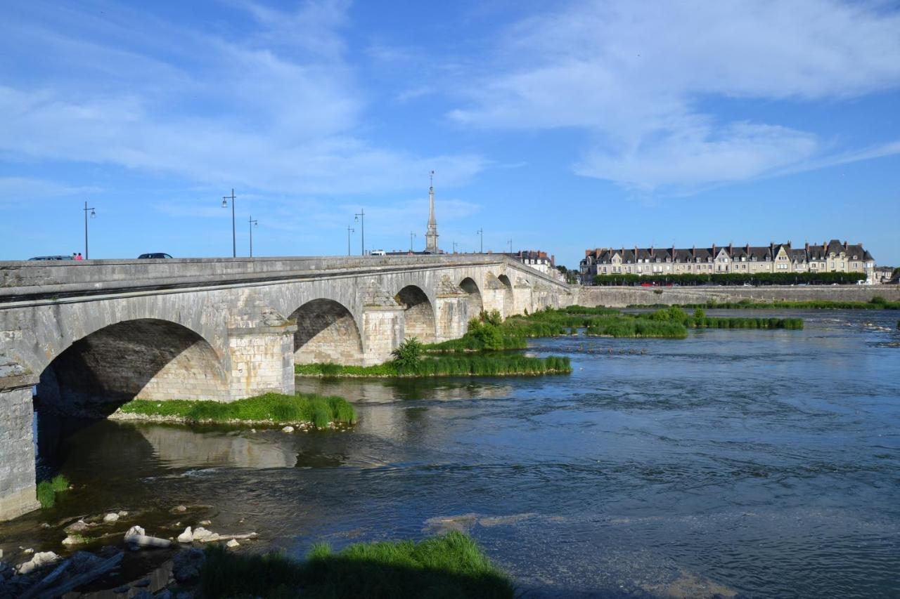 Entre Loire & Chateau - Vue Exceptionnelle A Блуа Екстер'єр фото